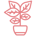 Nagorik website image